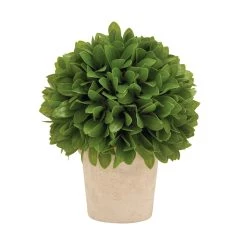 Top 10 β€οΈ 10" Boxwood Topiary in Decorative Planter by Ivory and Iris π