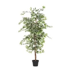 Budget π₯° 6ft. Potted Ficus Tree by Ivory and Iris β€οΈ