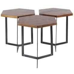 Hot Sale 🔥 Brown Mango Wood Industrial Accent Table Set by Ivory and Iris ⌛