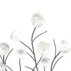 Best reviews of 🌟 White Coastal Shell Arrangement Wall Accent by Ivory and Iris ⌛ -Cheap Ivory and Iris Store D352812S 5