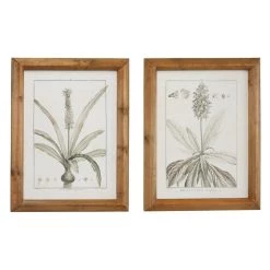 Cheapest 🥰 Brown & Cream Vintage Botanical Framed Wall Art Set by Ivory and Iris ✨