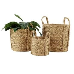 Best deal 😀 Natural Seagrass Basket Planter Set by Ivory and Iris 🧨 -Cheap Ivory and Iris Store D365687S 3