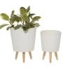 Best Pirce 💯 White Polystone Contemporary Planter Set by Ivory and Iris 🔥