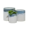 Flash Sale 🎉 Blue & White Porcelain Coastal Planter Set by Ivory and Iris 🛒
