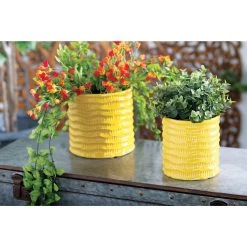 Budget 🎉 Yellow Porcelain Coastal Planter Set by Ivory and Iris 🌟 -Cheap Ivory and Iris Store D365737S 8