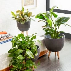 New ⌛ Gray Fiberclay Contemporary Planter Set by Ivory and Iris 😉 -Cheap Ivory and Iris Store D365746S 7