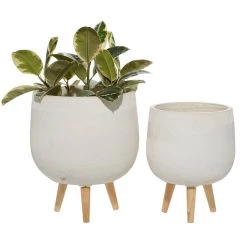 Promo 🔔 White Polystone Contemporary Planter Set by Ivory and Iris 💯