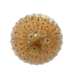 Budget 🔔 4" Multicolor Ribbed Ceramic Vase Filler Orb Set by Ivory and Iris 🎉 -Cheap Ivory and Iris Store D368560S 6