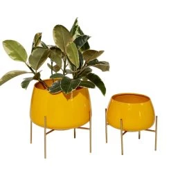 Best Pirce π Yellow Metal Contemporary Planter Set by Ivory and Iris π