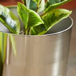 Wholesale π₯° Silver Metal Contemporary Rounded Planter Set by Ivory and Iris π 7 Wholesale π₯° Silver Metal Contemporary Rounded Planter Set by Ivory and Iris π -Cheap Ivory and Iris Store D369927S 3