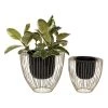 Promo 🥰 Black & Gold Metal Contemporary Planter Set by Ivory and Iris 🌟