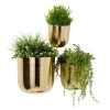 Budget ✔️ Gold Metal Contemporary Planter Set by Ivory and Iris 💯