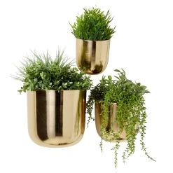 Budget ✔️ Gold Metal Contemporary Planter Set by Ivory and Iris 💯