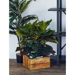 Budget 🛒 Set of 3 Brown Wood Farmhouse Storage Basket, 21", 16", 13" by Ivory and Iris 🔥 -Cheap Ivory and Iris Store D370088S 5