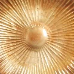 New π Gold Metal Contemporary Wall Décor Set, 3ct. by Ivory and Iris β 9 New π Gold Metal Contemporary Wall Décor Set, 3ct. by Ivory and Iris β -Cheap Ivory and Iris Store D370119S 3