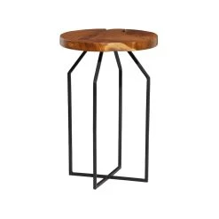Buy π 24" Brown Teak Wood Contemporary Accent Table by Ivory and Iris β