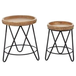 New 😀 Set of 2 Brown Metal Modern Accent Table, 19", 22" by Ivory and Iris 🎁