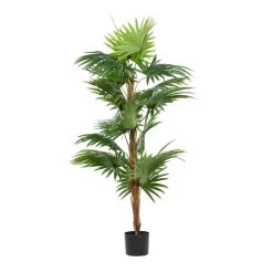 Flash Sale 👏 Fountain Palm Tree, Artificial Decorative Foliage For Indoors, 65", Green by Ivory and Iris ✔️ -Cheap Ivory and Iris Store D404838S 3