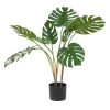 Best Pirce ✔️ Monstera Leaf Decorations With Pot, 29", Green by Ivory and Iris 🎁