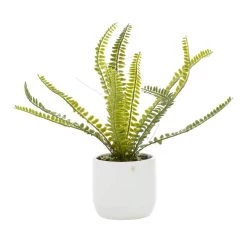 Top 10 🛒 White Ceramic Contemporary Artificial Foliage, 14" x 12" x 13" by Ivory and Iris 👏