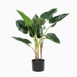 Outlet π Tall Artificial Anthurium Leaf Plant w Metal Pot for Indoor Decor, 18" by Ivory and Iris π 13 Outlet π Tall Artificial Anthurium Leaf Plant w Metal Pot for Indoor Decor, 18" by Ivory and Iris π -Cheap Ivory and Iris Store D404857S 6