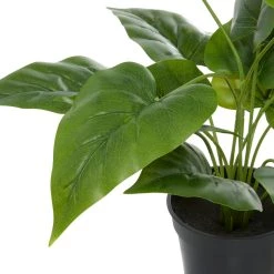 Best reviews of 😉 Green Plastic Traditional Artificial Foliage, 17" x 21" x 17" by Ivory and Iris 👏 -Cheap Ivory and Iris Store D404858S 3