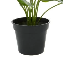 Best reviews of 😉 Green Plastic Traditional Artificial Foliage, 17" x 21" x 17" by Ivory and Iris 👏 -Cheap Ivory and Iris Store D404858S 4