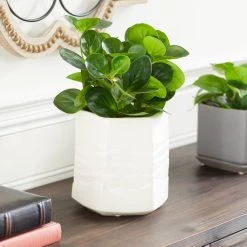 Wholesale 🛒 White Ceramic Contemporary Vase, 7" x 7" x 7" by Ivory and Iris 🧨 -Cheap Ivory and Iris Store D490088S 9