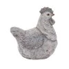 Best reviews of ✨ 13" Gray Stone Country Hen Garden Sculpture by Ivory and Iris 🌟