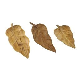 Promo π₯ Brown Teak Wood Coastal Style Tray Set by Ivory and Iris π 11 Promo π₯ Brown Teak Wood Coastal Style Tray Set by Ivory and Iris π -Cheap Ivory and Iris Store D493683S 4