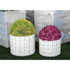 Coupon π Set of 3 White Dolomite Coastal Planter, 6", 8", 10" by Ivory and Iris βοΈ 13 Coupon π Set of 3 White Dolomite Coastal Planter, 6", 8", 10" by Ivory and Iris βοΈ -Cheap Ivory and Iris Store D501380S 7