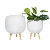 Best reviews of 🔥 Set of 2 White MgO Contemporary Planter 17", 15" by Ivory and Iris 🤩