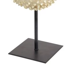 Best deal 🥰 Gold Polyresin Coastal Fish Sculpture, 9" x 7" x 5" by Ivory and Iris ⌛ -Cheap Ivory and Iris Store D501430S 5