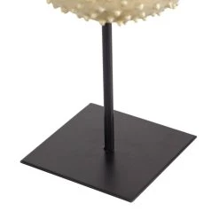 Budget β Gold Polyresin Coastal Fish Sculpture, 14" x 10" x 7" by Ivory and Iris π 12 Budget β Gold Polyresin Coastal Fish Sculpture, 14" x 10" x 7" by Ivory and Iris π -Cheap Ivory and Iris Store D501437S 5