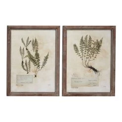 Cheapest ✔️ Set of 2 Light Brown Wood Farmhouse Botanical Wall Art, 20" x 27" by Ivory and Iris 🔔
