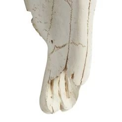 Best Sale π― White Farmhouse Skull Polystone Wall Decor, 12" x 16" by Ivory and Iris π 11 Best Sale π― White Farmhouse Skull Polystone Wall Decor, 12" x 16" by Ivory and Iris π -Cheap Ivory and Iris Store D506331S 4