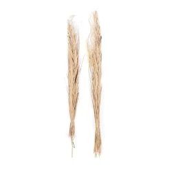 Deals ✨ Set of 2" Light Brown Wood Natural Foliage, 9" x 57" by Ivory and Iris 👏 -Cheap Ivory and Iris Store D506585S 6