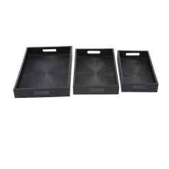 Best reviews of ⌛ Set of 3" Black Wood Contemporary Trays, 3" x 16" x 10" by Ivory and Iris ✨