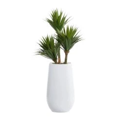 Buy π 3.5ft. Potted White Fiberglass Contemporary Succulent Artificial Foliage by Ivory and Iris π