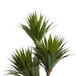 Buy 👍 3.5ft. Potted White Fiberglass Contemporary Succulent Artificial Foliage by Ivory and Iris 😉 -Cheap Ivory and Iris Store D611178S 5