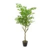 Flash Sale 🎉 61" Green Vinyl Contemporary Potted Artificial Tree by Ivory and Iris 🤩