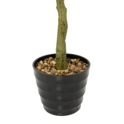 Flash Sale π 61" Green Vinyl Contemporary Potted Artificial Tree by Ivory and Iris π€© 11 Flash Sale π 61" Green Vinyl Contemporary Potted Artificial Tree by Ivory and Iris π€© -Cheap Ivory and Iris Store D611179S 4