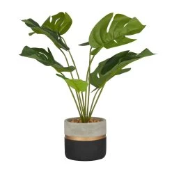 Best reviews of 🔔 18" Green PVC Monstera Contemporary Artificial Foliage by Ivory and Iris 🧨