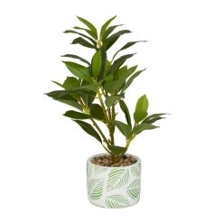 Best reviews of β€οΈ 16" Potted White PVC Coastal Evergreen Artificial Foliage by Ivory and Iris β¨