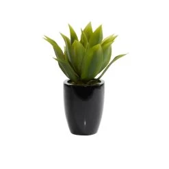Best Sale 😉 22" Potted Contemporary Succulent Artificial Foliage by Ivory and Iris ❤️