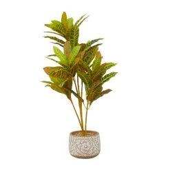 Best Sale 🎁 2.5ft. Potted Bohemian Banyan Tree Artificial Foliage by Ivory and Iris 👏 -Cheap Ivory and Iris Store D611191S 5