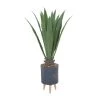 Best deal ✔️ 2ft. Modern Style Aloe Vera Artificial Foliage in Blue Pot by Ivory and Iris 🎉